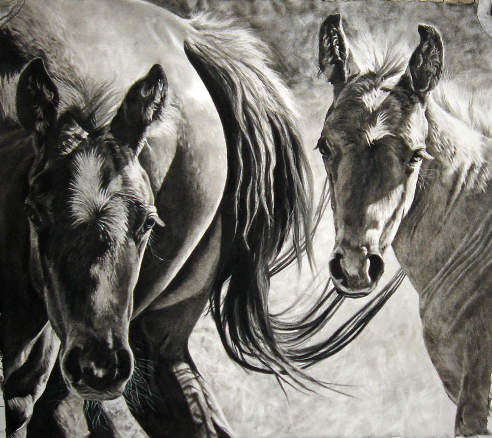 Rox Corbett Art || Equine & Ranch